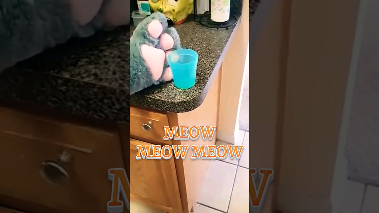 Cat takes revenge with paw. 🐱🐾 