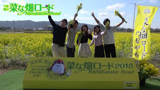 公式サイト 南房総鴨川 菜な畑ロード １万坪の敷地いっぱいに咲く菜の花畑