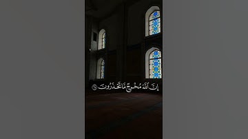 سورة التوبة ياسر الدوسري 💙