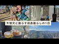 大型犬と暮らす【飯能田舎暮らしの1日】新居 移住