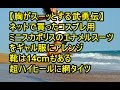 【胸がスーッとする武勇伝】ネットで買ったコスプレ用ミニスカポリスのエナメルスーツをギャル服にアレンジ 靴は14cmもある超ハイヒールに網タイツ