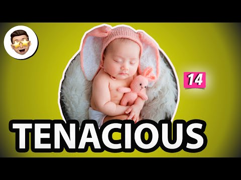 Tenacious meaning | Daily vocabulary for competitive exams | Episode 14