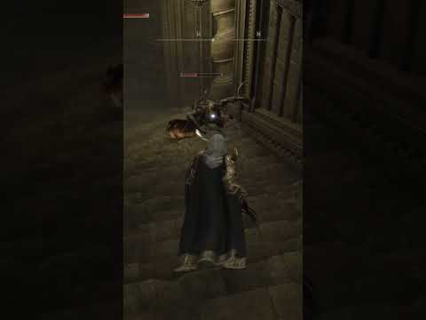 【ELDEN RING】日課のパリィ練習・呪剣士君相手のパリィは中々難しい【エルデンリング】　#エルデンリング　#ELDENRING　#パリィ