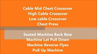 #1 Back & Chest Workout