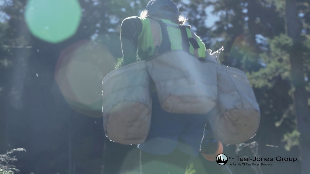 Teal Jones: Forestry