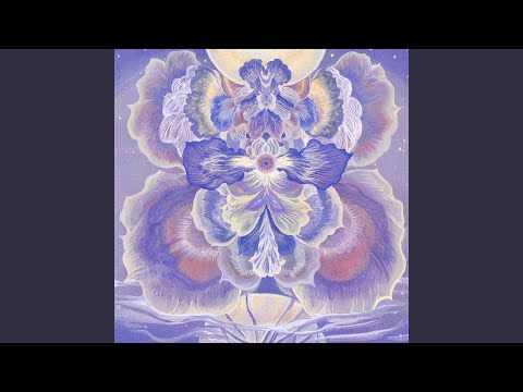 鏡花水月