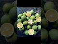 Oranges cut styles /Seasonal fruit/#fruits #seasonalfruit #natureshorts #shorts #shortvideo