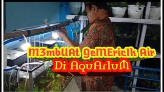 MEMBUAT GEMERICIK AIR DI AQUARIUM‼️DESAIN AQUARIUM❗