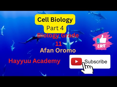 Biology Grade 11 Unit 4 part 4 in Afan Oromo