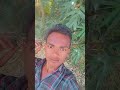 #bhojpuri song short video Trending video 🇮🇳🇮🇳👌👌