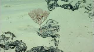 NA149_H1949_(4of6)_20230520_051032Z