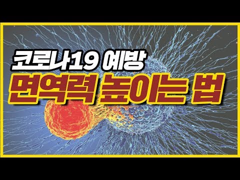 코로나바이러스 감염/확산을 막으려면 면역력을 키우자!
