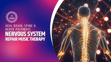 Nervous System Repair Music Therapy - Heal Brain, Spine & Nerve Pathways - Relaxation Frequencies