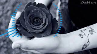 Dj (TIPE X) mawar hitam versi gagak