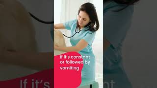 Pet wellness