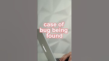 Why is it called Computer Bugs?