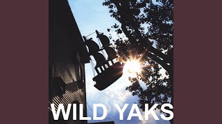 Video thumbnail of "Wild Yaks - Tomahawk"