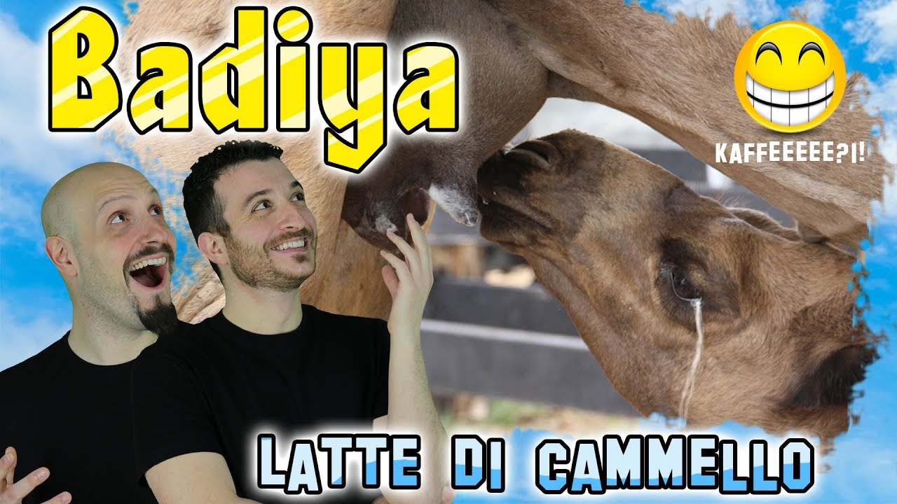 UN GIOCO PEGGIORE DI IBN BATTUTA? BADIYA!