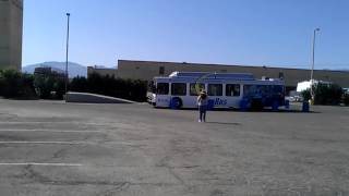 Sunbus annual rodeo (2)