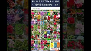 record-賞花+素食主義者名言錄c 20200324-232709.mp4