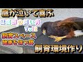 【最新】鷹が泣いて喜ぶ環境作り、猛禽類の飼い方Vol2、快適な鳥小屋作りと餌の話！ハリスホーク、HarrisHawk、cage free Hawk、鷹狩、鷹匠、放飼い