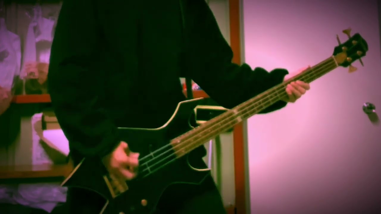 X JAPAN celebrationベース弾いてみた。 YouTube