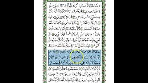 متشابهات سورة طه\الجزء السادس عشر\الربع الثامن\وعنت الوجوه