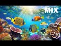 Mix  fall into sleep instantly  underwater aquarium mix to reduce anxiety and help you sleep 