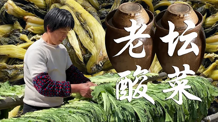 地里芥菜多到吃不完，农村大妈腌制“老坛酸菜”，15天发酵放1年也不坏！【是晓晓杨呀】 - 天天要闻