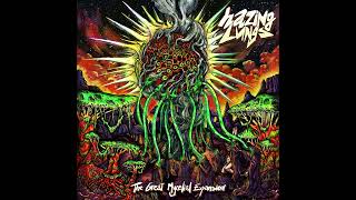 Hazing Lungs - Hazing Lungs