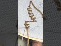 Simple Eagle Embroidery Outline For Beginners Trend #embroidery #ytshorts #trending #simple #viral