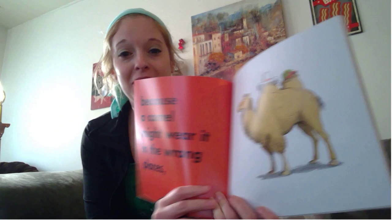 Animals Should Definitely NOT Wear Clothing YouTube