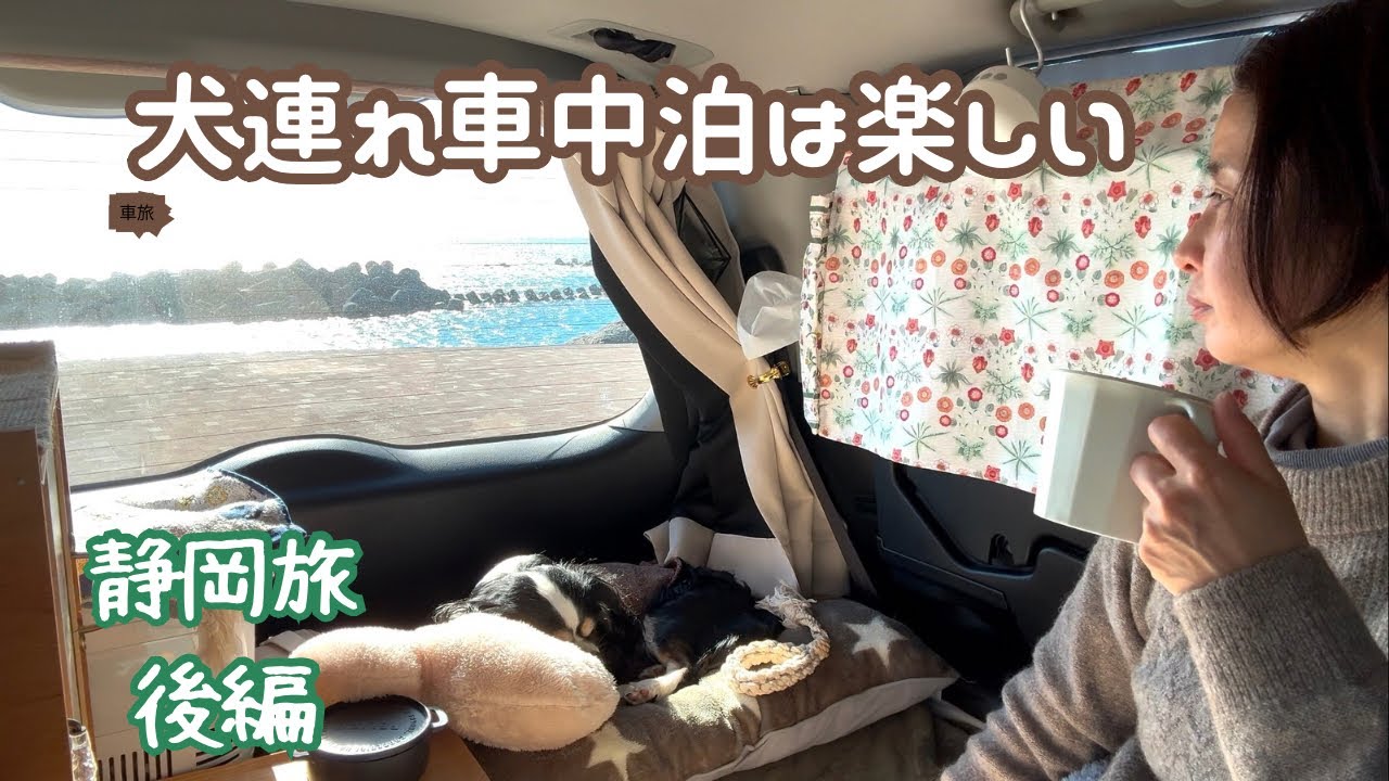 50代看護師と犬1匹が無理なくのんびり愉しむ静岡市 車中泊の旅：後編 /用宗緑地/道の駅宇津ノ谷峠/明治のトンネル/丁子屋/静岡浅間神社/茶町KINZABURO