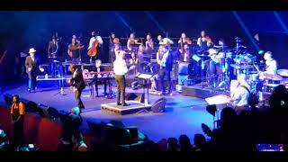 Famous David Rodigan 40th anniversary gig live at the Royal Albert Hall Profile