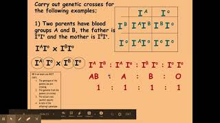 6.1.2 Patterns of inheritance b) Multiple alleles