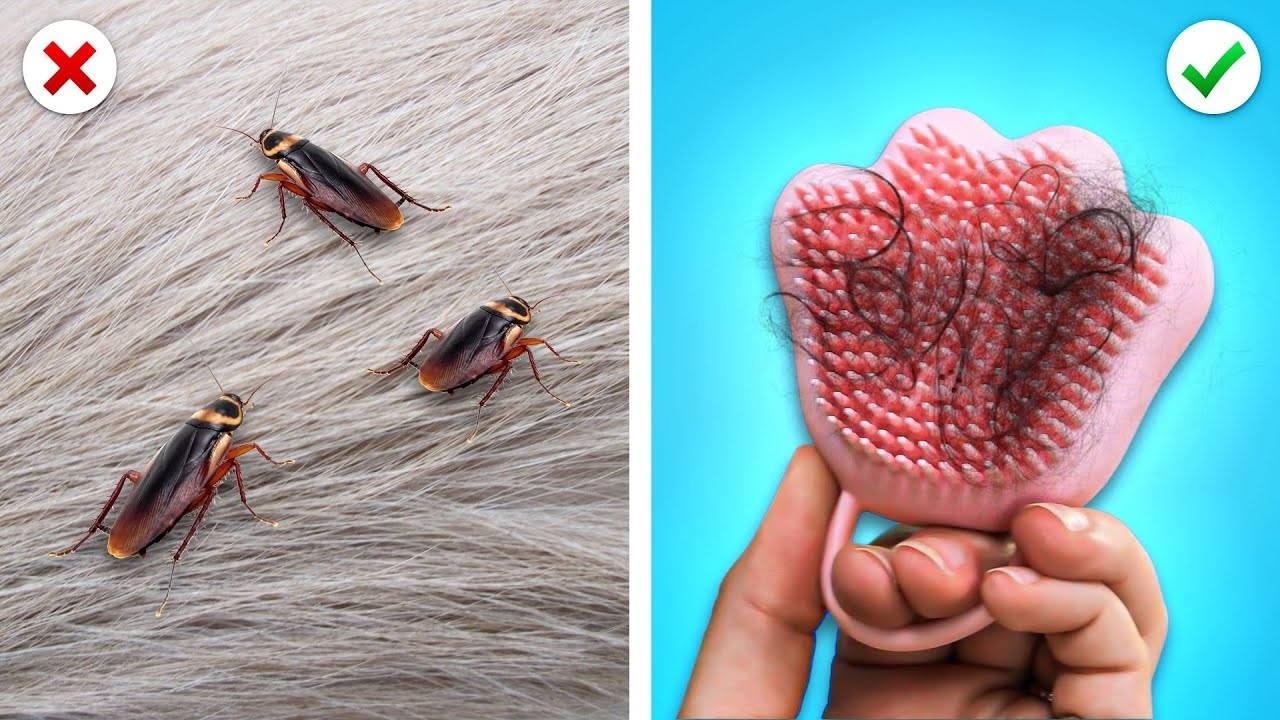 We Must Save This Cute Little Puppy! 😢Genius Hacks for Pet Owners! We We Must Save This Cute Little Puppy! 😢Genius Hacks for Pet Owners! We
