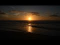 Playa de la Tejita 2016