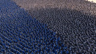 10.000 KNIGHTS vs 10.000 DWARVES | UEBS screenshot 3