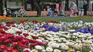 花咲く大通公園　緊急宣言解除見送りの札幌市