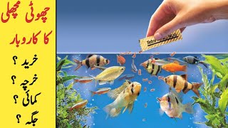 Amazing idea for home Aquarium in Pakistan | Fish Aquarium  | Fish farms