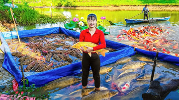 Harvest 1000+ Giant Grass Carp from Fishermen, Use Truck To Transport Fish Go To Market Sell