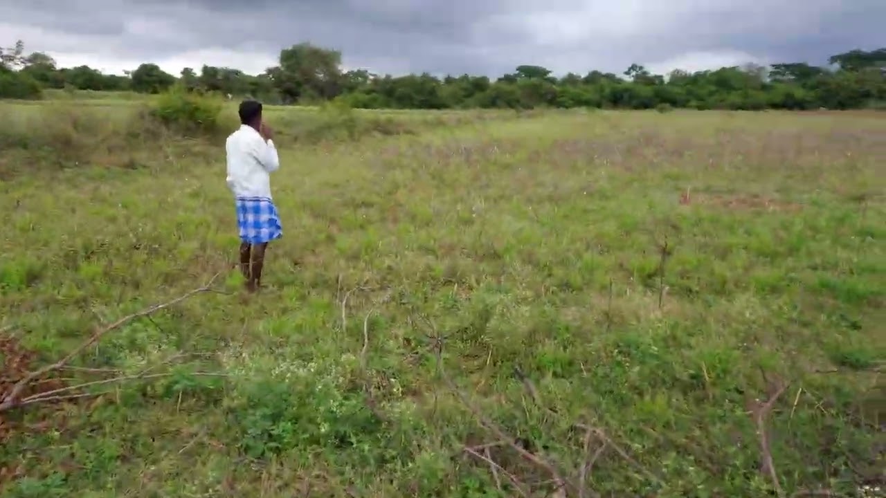 APS FLDP FARMLAND VISIT 35 3840 2160 17 11 2024  2