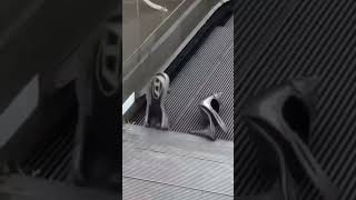I’ll never ride escalators the same way again