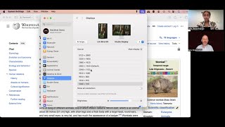 Tech Tools for Dyslexia- A Guide to Macs Accessibility Features