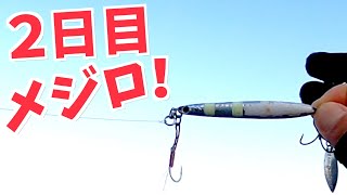 メジロが釣れ出した堤防２日目は万能ルアー「マキジグジェット」