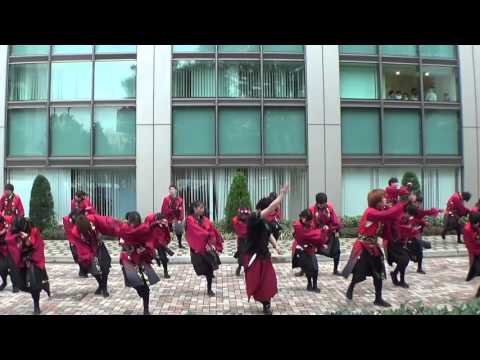 "千葉工業大学よさこいソーラン 風神" 南中ソーラン@津田沼祭2015 1日目