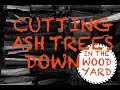 #83 - Cutting Firewood on the farm with my Husqvarna chain saws - and I break another saw!