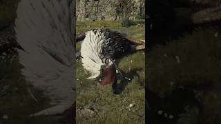 One-shotting a Griffin is tradition at this point #dragonsdogma2