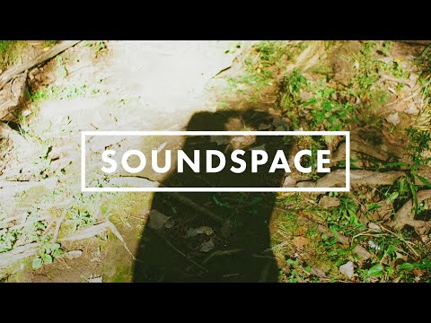 Dino Lenny — Dino Lenny - Not About The Volume (Tiger Stripes Remix) [Rekids]
