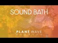 Plant music sound bath  plantwave quartet  528hz